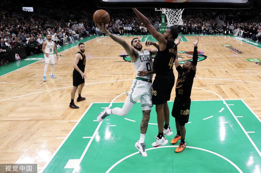 森林狼困境 森林狼困境